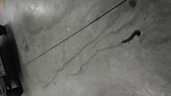 IMG_20190506_111823.jpg (2.54 MiB) Visto 3726 veces IMG_20190506_111823.jpg