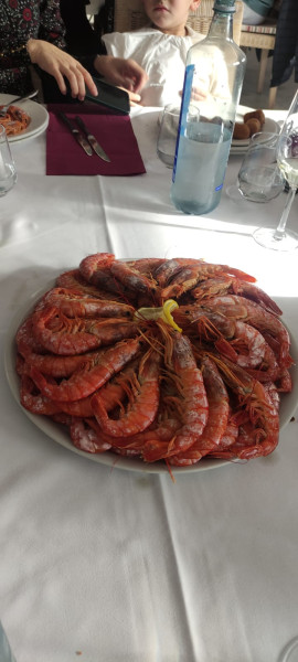 Comida en el restaurante del propio museo
