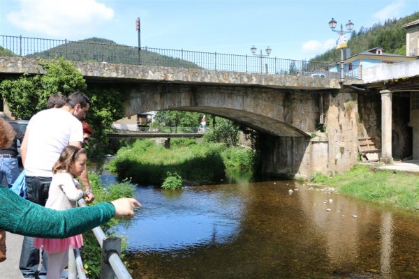 IMG_0230 (Large).JPG (152.31 KiB) Visto 4445 veces Aquí estabamos intentando ver oro en el río, pero no había ni oro ni truchas.