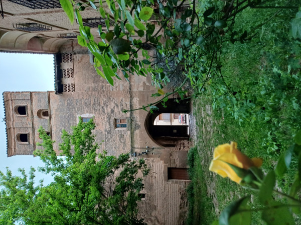 20250503_203028.jpg