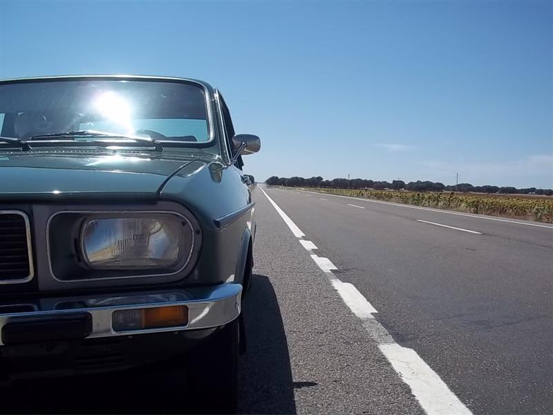 con los campos de girasoles de fondo