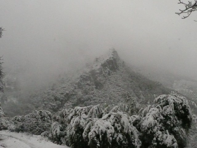 P1090082 [640x480].JPG